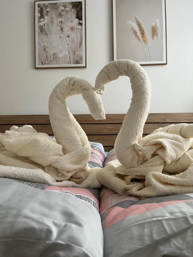 Appartamento Nový V Areálu Wellness Frymburk